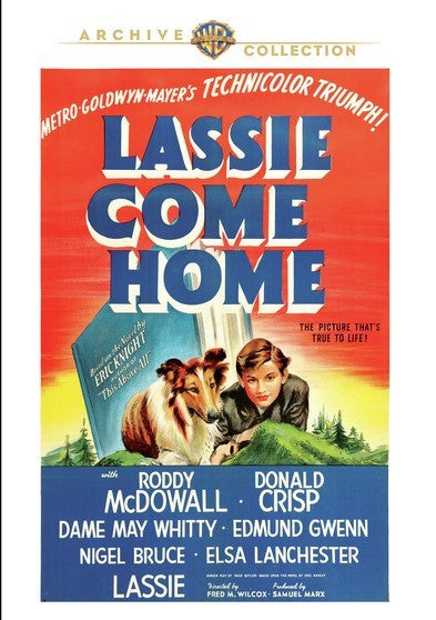Lassie Come Home (MOD) (DVD Movie)